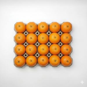 Plateau de présentation de fruits vintage éco-responsable, design carré moderne, en matériau de pulpe moulée, avec poignée ergonomique - Product Image 2