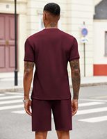 Conjunto de Camiseta y Pantalones Cortos Deportivos Casuales de Verano para Hombre, Transpirables, de Punto, con Cuello de Cremallera, Color Sólido, 100% Poliéster