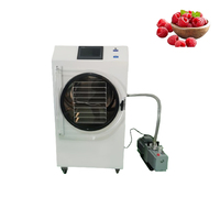 Kleine vriesdroogmachine, mini vriesdroogapparaat, vriesdroogmachine voor thuisgebruik voor fruit