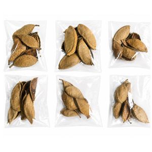 AQUA VRIKSHA Cápsulas Naturales de Pungam para Acuarios, Peceras de Betta, Peceras de Camarones y Acuapaisajismo |   Paquete de 10 - Product Image 6