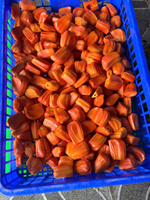Vietnamese rode jackfruit, bulk, pitloos, gepeld en gereinigd, natuurlijke zoete smaak, diepvries tropisch fruit, klaar om te eten