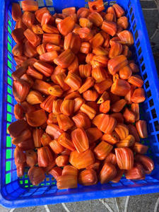 Jaca Roja Vietnamita Congelada Sin Semillas, Fruta Tropical Lista para Usar, Proveedor al por Mayor - Product Image 4