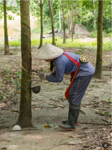 Látex Líquido LA/HA/MA 60 DRC Más Vendido en 2025, Látex Centrifugado Blanco, Directamente del Fabricante, Látex para Revestimiento de Alfombras - Product Image 2