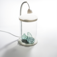 Mini aquarium de bureau en verre transparent avec lumière LED nocturne, alimenté par USB, pour la décoration de salon ou de bureau.
