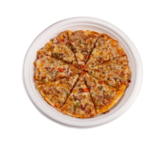 Assiettes classiques biodégradables en bagasse de 12 pouces |   Assiettes jetables écologiques en pulpe de canne à sucre pour fêtes, traiteur et usage quotidien - Product Image 3