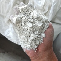Hydroxyde de calcium de haute qualité Ca(OH)2 Chaux calcinée en poudre 90% Min Solutions minières Traitement de l'eau Dessiccant en morceaux