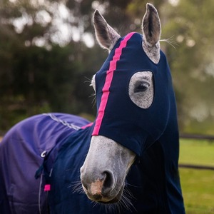 Équipement équestre personnalisé, couverture de cheval en tissu Oxford léger et respirant pour l'été, couverture de luxe pour cheval - Product Image 1