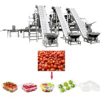 Machine de remplissage et de scellage automatique électrique de haute précision contrôlée par PLC pour sachets en plastique/papier/film, pour snacks/aliments soufflés
