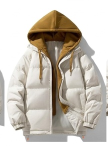 Veste matelassée à capuche pour homme Curry Sports, grande taille, coupe-vent, chaude, zippée, haute qualité, coupe ample, décontractée, épaisse, en duvet - Product Image 4