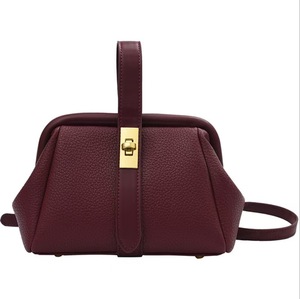 Bolso de Mano de Lujo para Mujer, Estilo Vintage, con Cierre, Moderno y Elegante, de Cuero PU, Portátil, Tipo Bandolera - Product Image 5