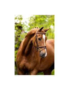 OEM ODM Custom Logo Professional Manufactures 100% Top High Quality PU Leather Horse Riding Bridle With <b>Cheap</b> Price - Product Image 2