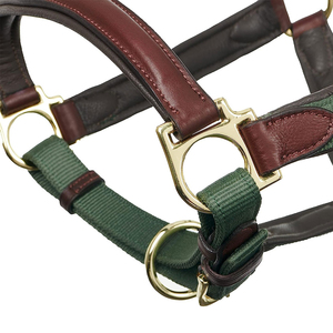 Harnais en cuir pour cheval avec boucles en laiton et sangle verte pour l'équitation et l'entraînement - Product Image 5
