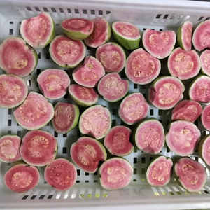 Guayaba Congelada IQF al por Mayor, Entera y en Mitades |   Exportadora de Frutas Tropicales Congeladas Naturales de Vietnam - Sra. Grace - Product Image 6