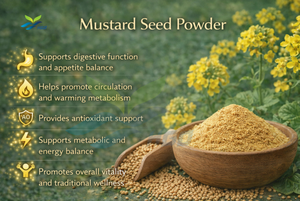 Approvisionnement direct d'usine HGO en poudre de graines de moutarde naturelle (Brassica juncea (L.) Czern.) Extrait de qualité alimentaire aux rapports 5:1, 10:1, 20:1 - Product Image 3