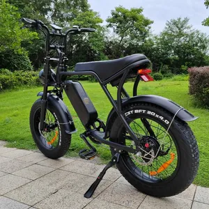 Eu Stock Enduro Ebike Electric Bike Frame With LCD Display E Bikes 2023 OUXI V8 Electric Road Bike