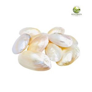 สร้อยคอลูกปัดเปลือกหอยมุกเทียมทรงกลมคลาสสิกของขวัญสำหรับทุกเพศเครื่องประดับแบบเส้น - Product Image 6