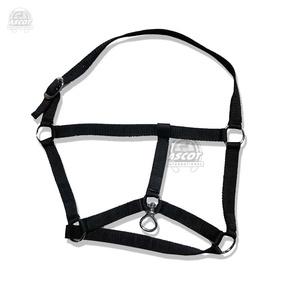 Licou de cheval de meilleure qualité en nylon pp avec raccords en acier inoxydable dans des couleurs personnalisées pour le meilleur fournisseur indien à bas prix - Product Image 2
