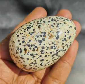 Superventas, cristales, piedras curativas, suministros de brujería, huevos de jaspe Dakmatian para Equilibrio Energético, huevo dálmata al por mayor - Product Image 1