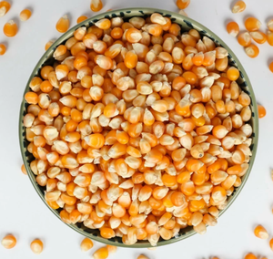 Maíz Amarillo de Nueva Cosecha al por Mayor para Consumo Humano y Animal, Maíz Amarillo para Alimentación de Aves de Corral, Precios con Descuento - Product Image 6