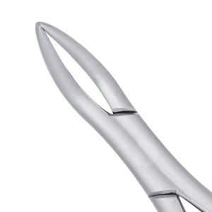 Forceps d'extraction dentaire à dents sécantes 301 pour racines inférieures, en acier inoxydable, instrument chirurgical pour l'élimination des racines, outil de forceps dentaire - Product Image 4