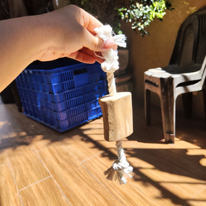 Mordedor de madera de café vietnamita para perros con cuerda de algodón 100% natural. Madera de café para perros con cuerda ANGLE. - Product Image 5