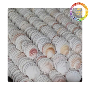 Copas de Vino Ecológicas Hechas a Mano con Diseño de Conchas Marinas Naturales para Vino, Cócteles y Cerveza, Ideales para Fiestas - Product Image 6