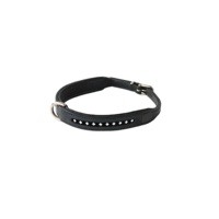 Saman Exports Kalung Anjing Kulit Sapi Berkualitas Terbaik dengan Bantalan, Pola Solid, Hiasan Rivet, Cocok untuk Semua Musim