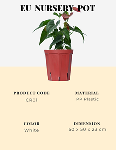 Pot de pépinière en plastique pratique et élégant Pot de drainage super-Pot UE bon marché meilleur prix pour les distributeurs - Product Image 2