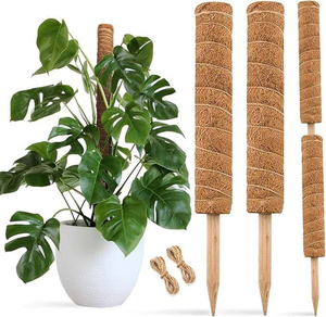 Varas de fibra de coco apilables para plantas trepadoras, soporte tipo tótem con base de madera. - Product Image 1