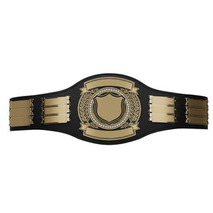 Ceinture de championnat en cuir écologique personnalisable pour l'entraînement aux arts martiaux, élégante, douce, confortable, légère et au design soigné - Product Image 1