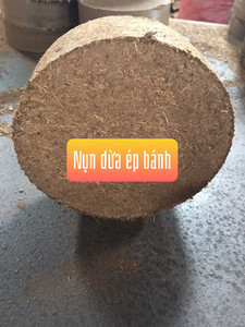 Ladrillo de Fibra de Coco de Alta Calidad de Fábrica Vietnamita, Medio de Cultivo Natural para Viveros, Hidroponía y Agricultura - Product Image 4