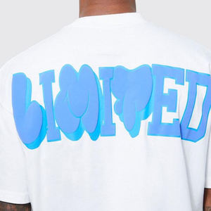 Luxury 300GSM Heavyweight Cotton T-Shirt | Custom 3D Puff Print Premium Streetwear Tee - Product Image 1