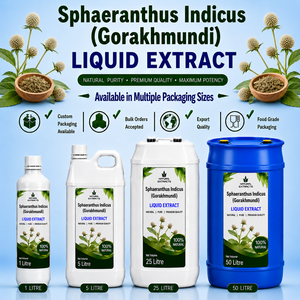 Extrait Liquide de Sphaeranthus Indicus (Gorakhmundi) – Complément Herbal Naturel de Qualité Alimentaire en Vrac - Product Image 1