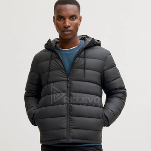 Blouson matelassé à capuche pour homme, style streetwear, imperméable et coupe-vent, pour le printemps, vêtement d'extérieur universitaire, manteau de moto personnalisé en duvet de canard - Product Image 1