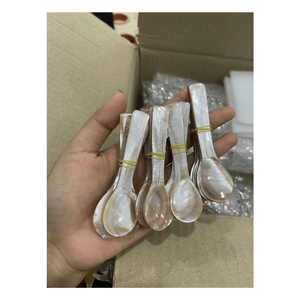 Natural Mother of Pearl Spoon | Elegant Handmade Seashell Utensil for Premium Tableware & Dining - Product Image 1