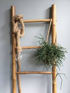 Bamboo Ladder for <b>Home</b> Use Straight Climbing Ladder 2.3m/4.5m/6m Thickened Durable Bamboo Semi-Manual Semi-Mechanical - Product Image 1