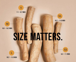 Bâton à mâcher pour chien en bois de café, 100% naturel, durable, jouet pour animaux de compagnie pour le nettoyage des dents, le soulagement du stress, pour les mâcheurs agressifs - Product Image 6