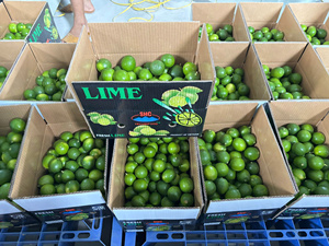 Limones sin Semillas de Vietnam de Primera Calidad, Color Verde Oscuro, Marca TECHMIFOOD (4.5 kg) para Cocinar y Preparar Bebidas - Product Image 2