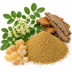 Producteur d'extraits végétaux standardisés : Poudre d'extrait de Boswellia Serrata, ingrédient premium pour les compléments de bien-être articulaire (OEM) - Product Image 6