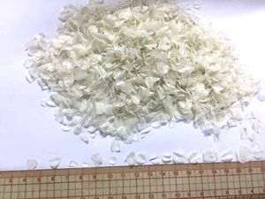 Escamas de Pescado de Calidad de Exportación, Materia Prima Marina de Grado Alimenticio, Vietnam - Product Image 4