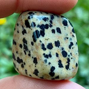 Piedras pulidas de jaspe dalmático natural, cristal curativo de piedra dalmática para Reiki, meditación, energía, decoración, venta al por mayor - Product Image 3