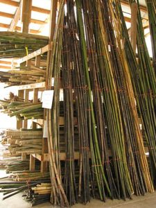 Varas de Bambú de Primera Calidad Listas para Exportación |   Caña de Bambú Natural al por Mayor para Construcción y Paisajismo - Product Image 3