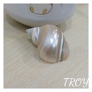 Anneaux de serviette en coquillages naturels en gros pour la décoration intérieure, les détaillants, les hôtels, les restaurants et les fournisseurs d'événements pour la mise en scène de table Troy - Product Image 5