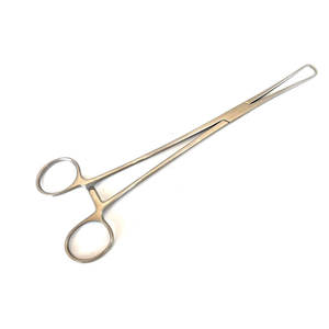 Pinzas Quirúrgicas de Acero Inoxidable de 10 Pulgadas, Instrumentos Médicos Veterinarios Reutilizables y Autoclavables, Herramienta de Agarre de Precisión para Hospital - Product Image 1