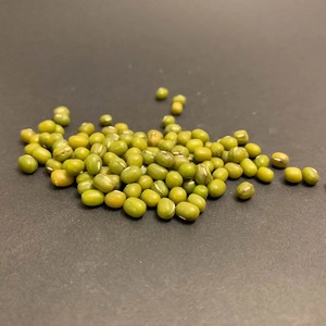 Haricots mungo riches en protéines, gramme vert nutritif pour usage domestique et industriel - Product Image 5