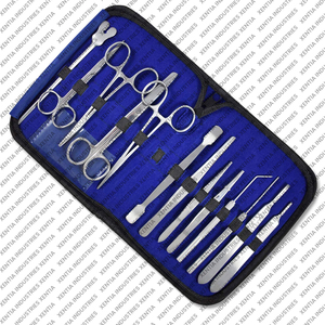 Productos de Venta Caliente: Juego de Instrumentos Quirúrgicos de Grado Médico, Manuales, de Acero Inoxidable, para Uso en Cirugía General - Product Image 2