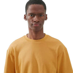 T-shirts à manches courtes pour hommes, personnalisables, 100% coton, tissu peigné, 220 GSM, coupe ample, poids lourd - Product Image 1