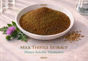 HGO Factory Fourniture directe d'extrait de chardon-Marie naturel pur (qualité alimentaire) Spécification Silymarine soluble dans l'eau 26% - Product Image 4