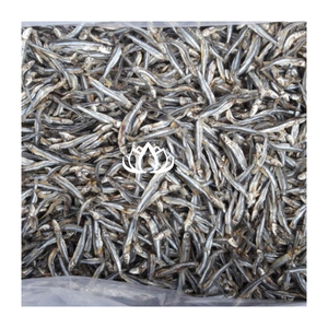 Anchois Séchés Écologiques de Qualité Supérieure IQF – Meilleure Vente, Riche en Protéines, Idéal pour Soupes et Bouillons – Prix Export - Product Image 6