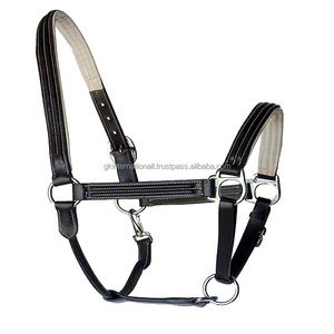 Cabestro de caballo completo de cuero marrón oscuro hecho a medida Triple cosido Cabestro de caballo de cuero acolchado blanco con herrajes de níquel - Product Image 1